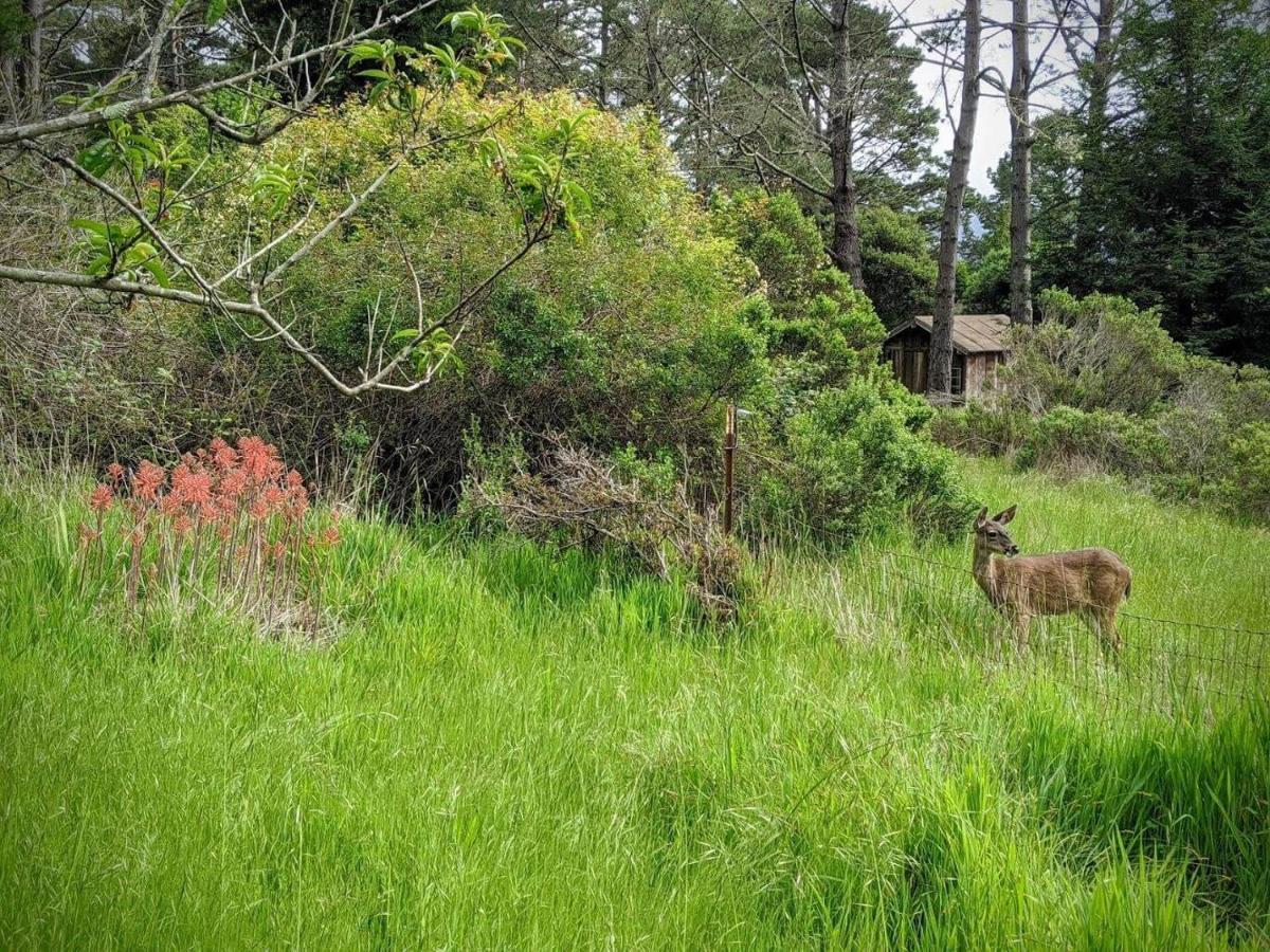 The Quail'S Nest Retreat Villa Point Reyes Station Eksteriør bilde